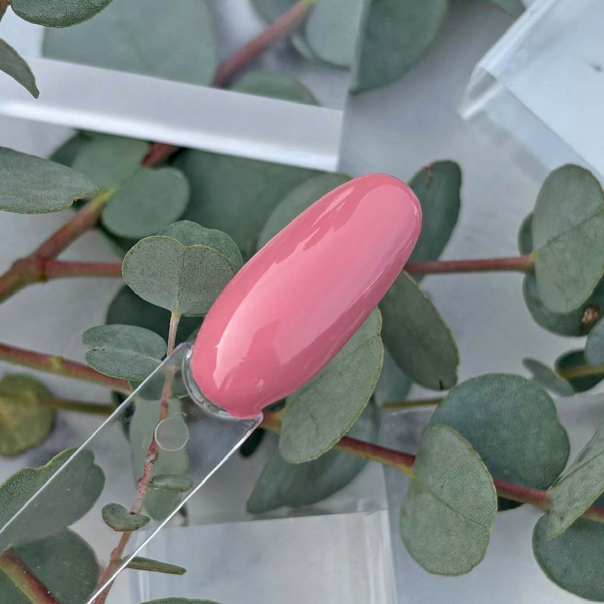 Gel Neglelak – Clouded Rose